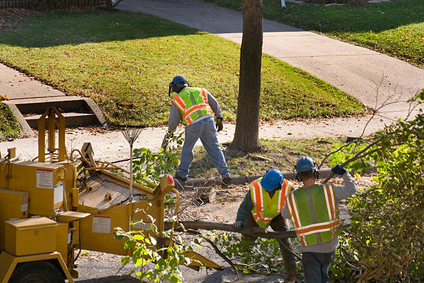 Best Utility Line Clearance  in Grant Valkaria, FL